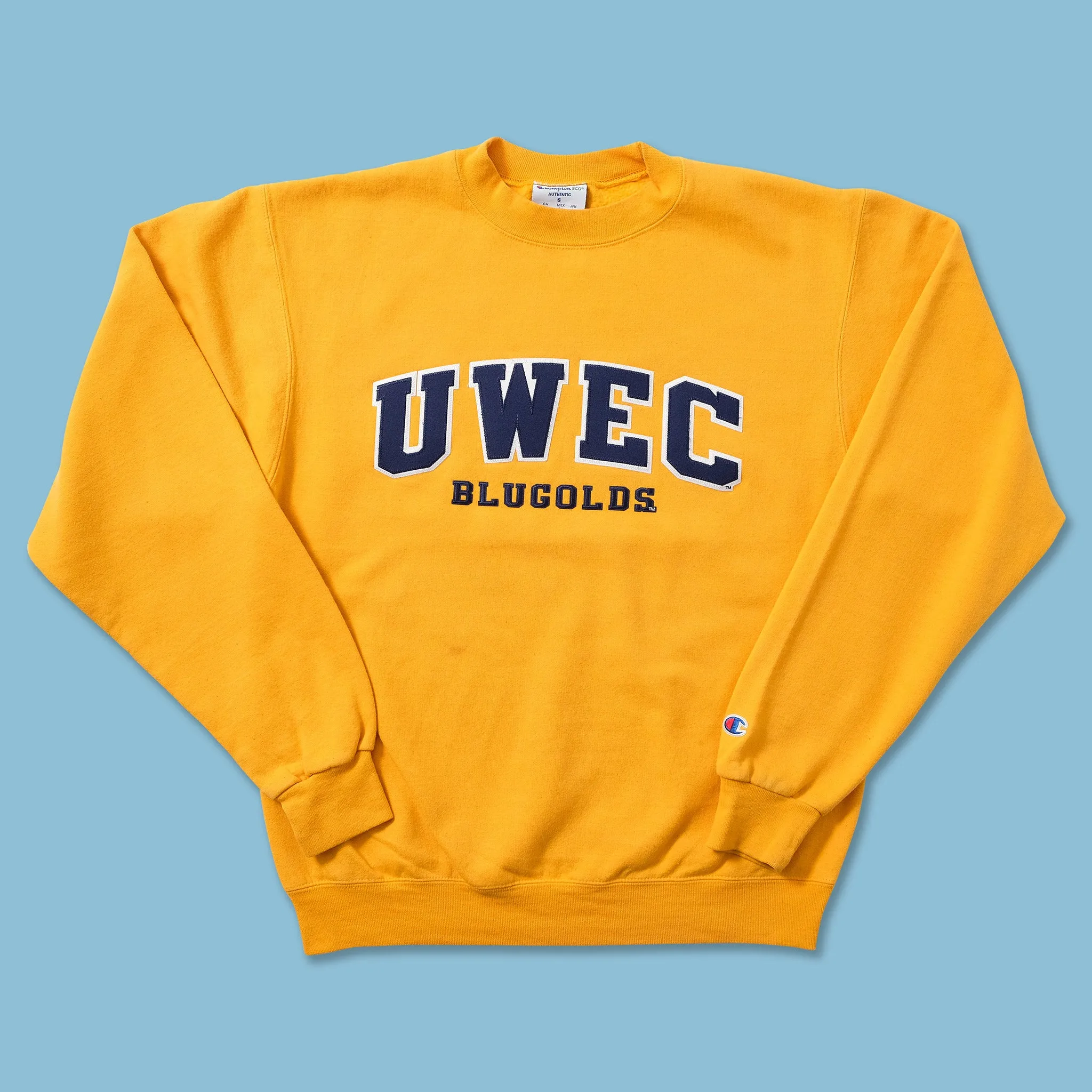 Champion UWEC Sweater Small