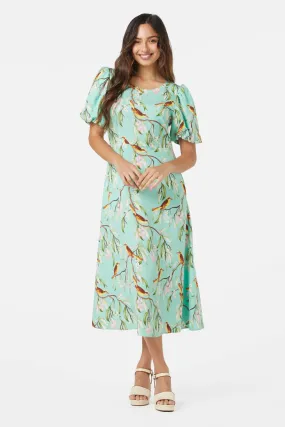 Honey Eater Midi Dress